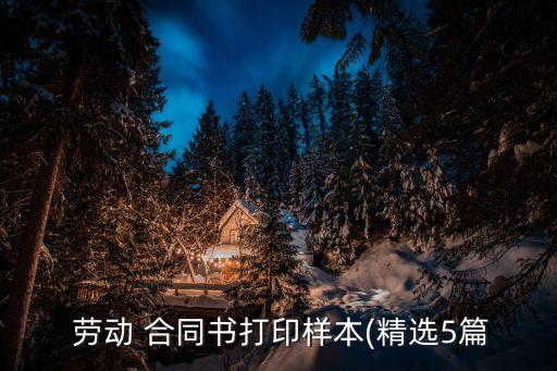  勞動(dòng) 合同書打印樣本(精選5篇