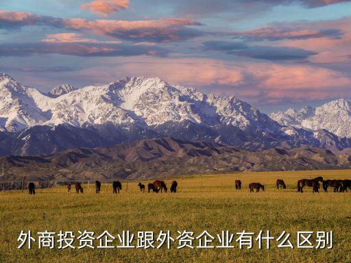 外商投資企業(yè)跟外資企業(yè)有什么區(qū)別