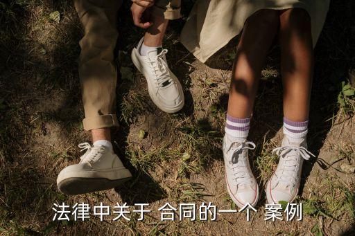 法律中關(guān)于 合同的一個 案例