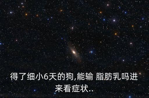 脂肪乳最多掛幾天,醫(yī)院打的一大袋乳白色營養(yǎng)液