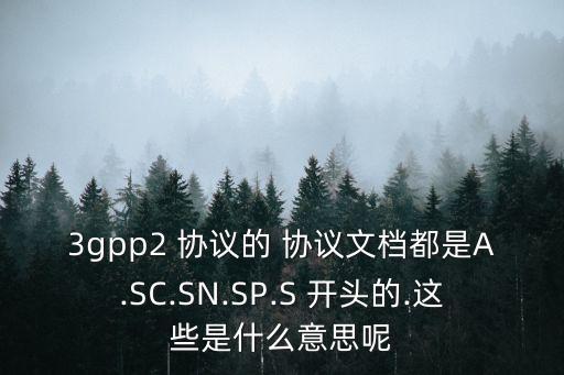 3gpp2 協(xié)議的 協(xié)議文檔都是A.SC.SN.SP.S 開頭的.這些是什么意思呢