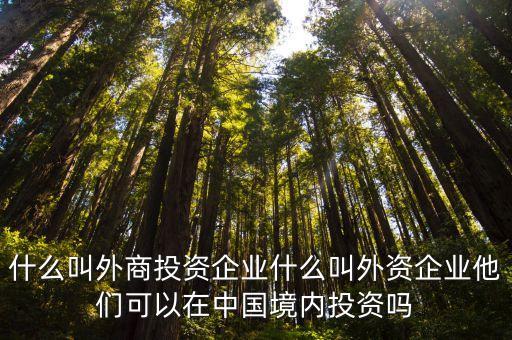 外商投資，外商投資性企業(yè)和外商投資企業(yè)有什么區(qū)別