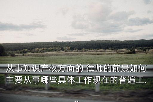 知產(chǎn)律師