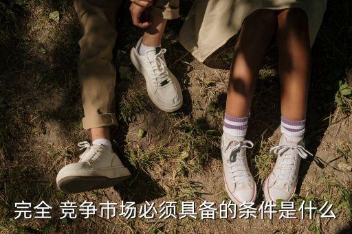 完全 競(jìng)爭(zhēng)市場(chǎng)必須具備的條件是什么