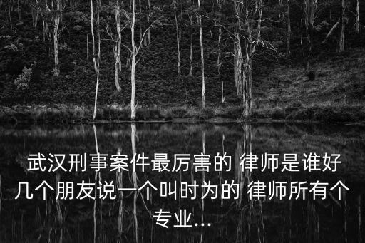 武漢律師