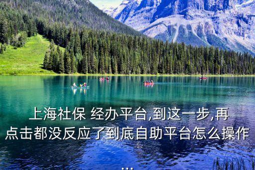  上海社保 經(jīng)辦平臺(tái),到這一步,再點(diǎn)擊都沒(méi)反應(yīng)了到底自助平臺(tái)怎么操作...