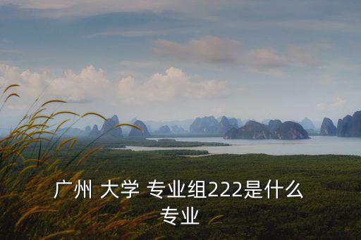  廣州 大學(xué) 專業(yè)組222是什么 專業(yè)