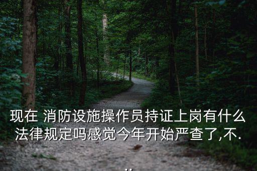 現(xiàn)在 消防設(shè)施操作員持證上崗有什么法律規(guī)定嗎感覺今年開始嚴(yán)查了,不...