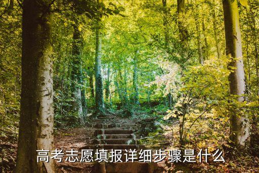 高考報名流程,教育局成人高考報名流程
