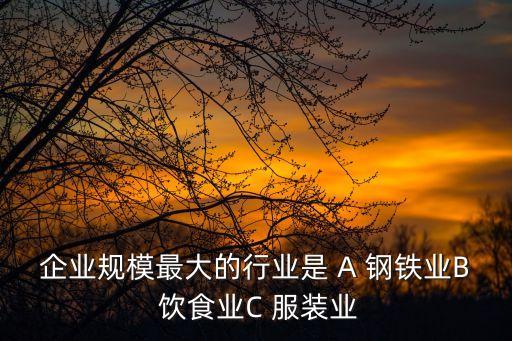 企業(yè)行業(yè)，企業(yè)規(guī)模最大的行業(yè)是 A 鋼鐵業(yè)B 飲食業(yè)C 服裝業(yè)