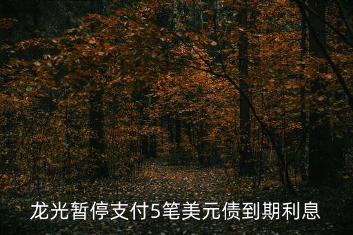 表外負債,商票為什么是表外負債