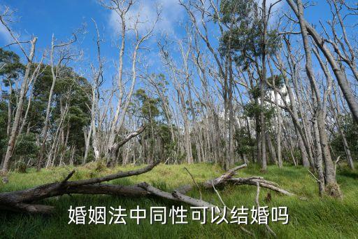 同性婚姻法，中國有同性婚姻法嗎