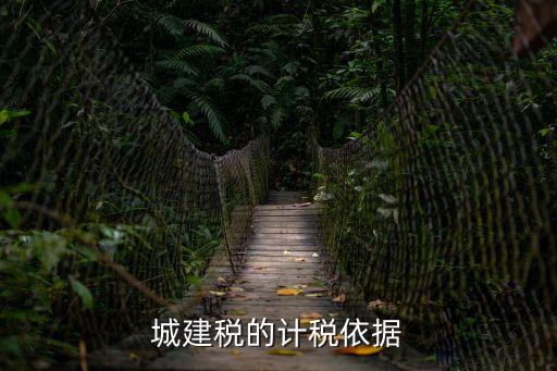 城建稅的計(jì)稅依據(jù)，城建稅的計(jì)稅依據(jù)是什么計(jì)稅公式是實(shí)際繳納的增值稅應(yīng)交營(yíng)