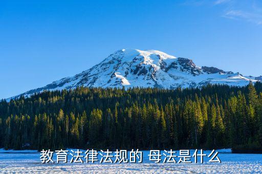 母法
