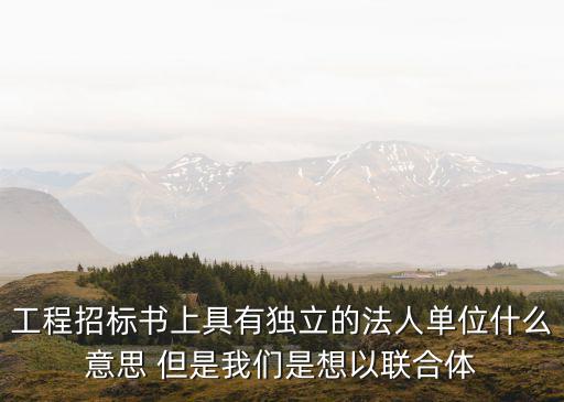 工程招標(biāo)書上具有獨立的法人單位什么意思 但是我們是想以聯(lián)合體