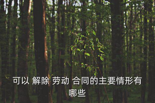 解除勞動合同的法定條件,提前解除勞動合同違約賠償標準