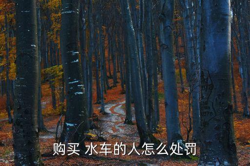 水車能買嗎,閑魚上的水車能買嗎