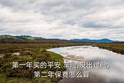 第一年買的平安 車險(xiǎn),沒出過險(xiǎn), 第二年保費(fèi)怎么算