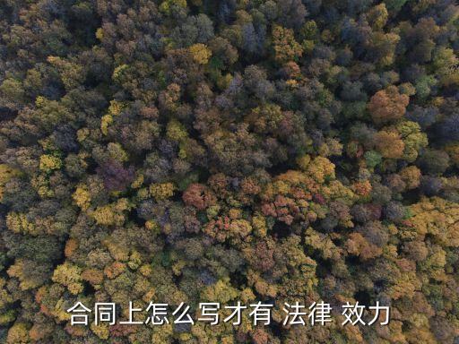 合同上怎么寫才有 法律 效力