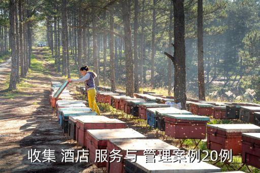 收集 酒店 服務(wù)與 管理案例20例