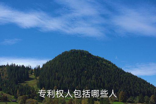 專利權(quán)人，知識產(chǎn)權(quán)法名詞解釋專利權(quán)人是指什么