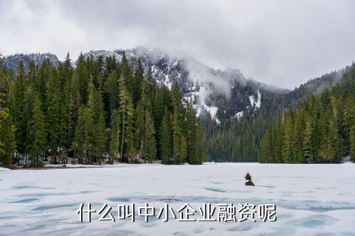 什么叫中小企業(yè)融資呢