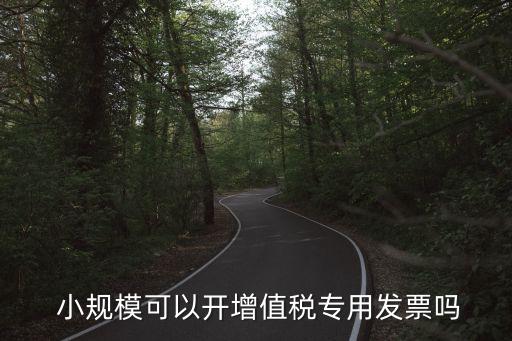 小規(guī)模開專票