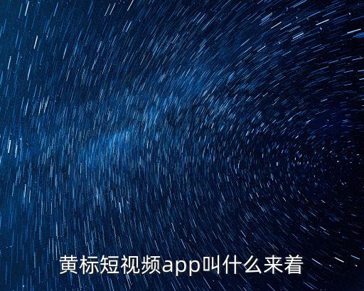 黃標(biāo)短視頻app叫什么來著