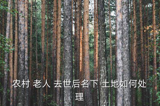 農(nóng)村 老人 去世后名下 土地如何處理