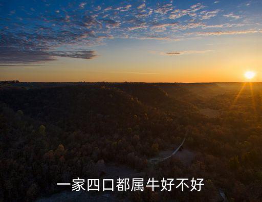 一家四口都屬牛好不好