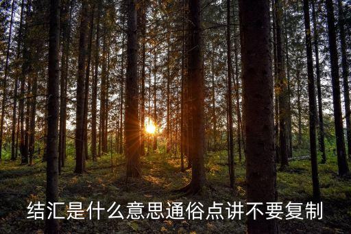 結匯是什么意思通俗點講不要復制