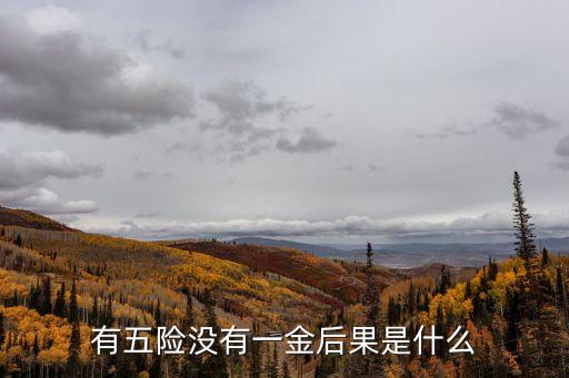 不交一金影響大嗎，關(guān)于停交五險一金的影響