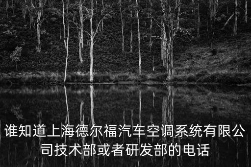 誰(shuí)知道上海德爾福汽車空調(diào)系統(tǒng)有限公司技術(shù)部或者研發(fā)部的電話