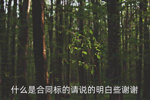 合同標(biāo)的，什么是合同標(biāo)的請說的明白些謝謝