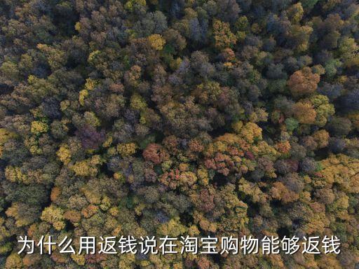 為什么用返錢說在淘寶購物能夠返錢