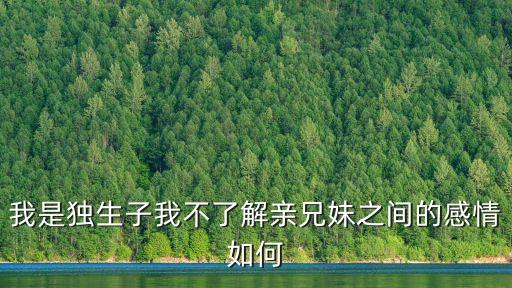 我是獨(dú)生子我不了解親兄妹之間的感情如何