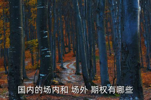 場外期權(quán)