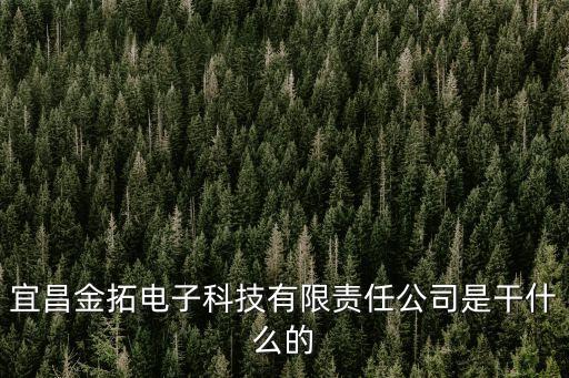金拓，誰知道KITACO是什么牌子的