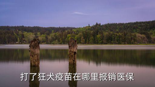 打了狂犬疫苗在哪里報銷醫(yī)保