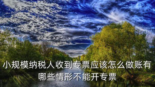 小規(guī)模納稅人收到專票應(yīng)該怎么做賬有哪些情形不能開專票