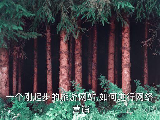 直接營(yíng)銷