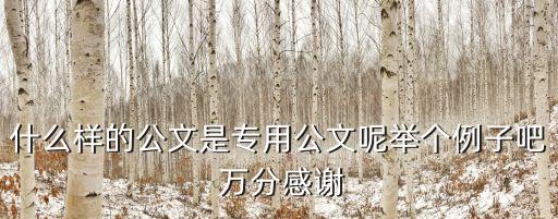 什么樣的公文是專用公文呢舉個例子吧 萬分感謝
