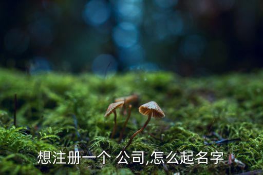 公司名稱注冊(cè),交管12123怎樣用公司名稱注冊(cè)