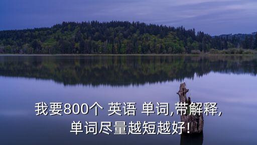 英語常用8000單詞,英語基礎(chǔ)詞匯3000