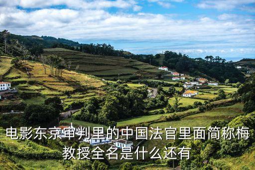 電影東京審判里的中國法官里面簡稱梅教授全名是什么還有