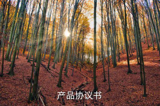 產(chǎn)品協(xié)議書