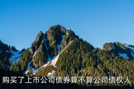 公司債權(quán)人，購(gòu)買了上市公司債券算不算公司債權(quán)人