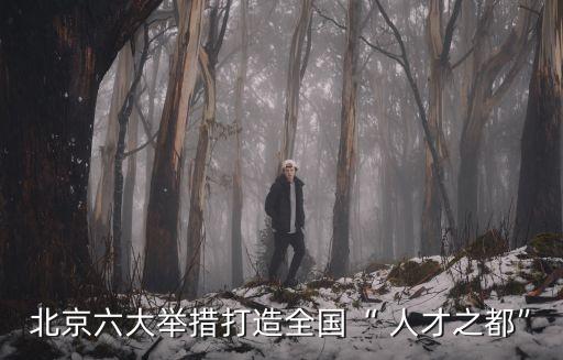 北京六大舉措打造全國“ 人才之都”