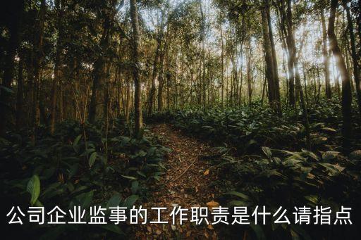 監(jiān)事的職責(zé)，注冊公司中的監(jiān)事什么責(zé)任