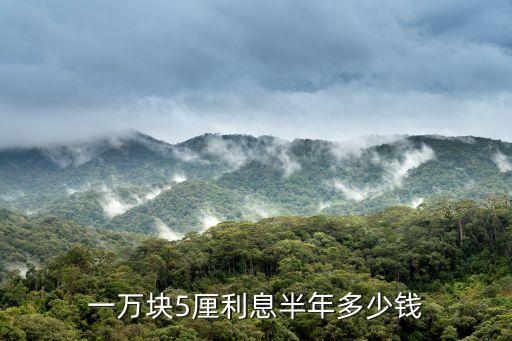5厘利息高嗎，貸8000元利息5厘一年利息多少